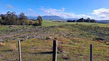 Other (Rural) For Sale - TAS - Barrington - 7306 - Opportunity Knocks! - Under Contract  (Image 2)