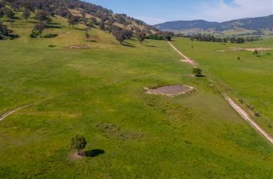 Residential Block For Sale - VIC - Bullioh - 3700 - Quality grazing country! (Image 2)