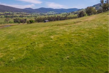 Residential Block For Sale - VIC - Bullioh - 3700 - Quality grazing country! (Image 2)