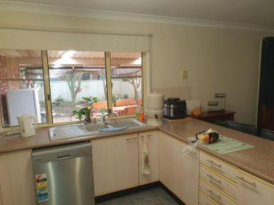 House For Sale - NSW - Muswellbrook - 2333 - A LARGE SIZED FIVE B/R FAMILY HOME
THAT DELIVERS ON EXPECTATIONS AND MORE ! (Image 2)