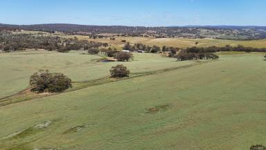 Mixed Farming For Sale - WA - Toodyay - 6566 - Rural Landholding with Residential/Lifestyle Development Opportunity (Image 2)