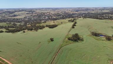 Mixed Farming For Sale - WA - Toodyay - 6566 - Rural Landholding with Residential/Lifestyle Development Opportunity (Image 2)