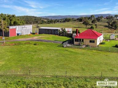 House For Sale - NSW - Tenterfield - 2372 - Versatile Rural Lifestyle Living..... (Image 2)