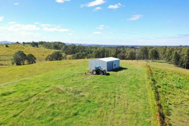 Livestock For Sale - NSW - Casino - 2470 - VIEWS @ "WOODVIEW" - 123 ACRES (Image 2)