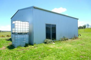 Livestock For Sale - NSW - Casino - 2470 - 123 ACRES - TRACTOR, SHED & YARDS CLOSE TO CASINO  (Image 2)