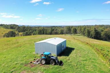 Livestock For Sale - NSW - Casino - 2470 - VIEWS @ "WOODVIEW" - 123 ACRES (Image 2)