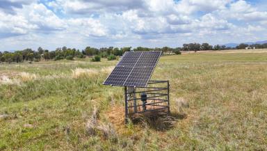 Lifestyle For Sale - NSW - Tamworth - 2340 - QUALITY LIFESTYLE HOLDING ON THE DOORSTEP OF TAMWORTH (Image 2)