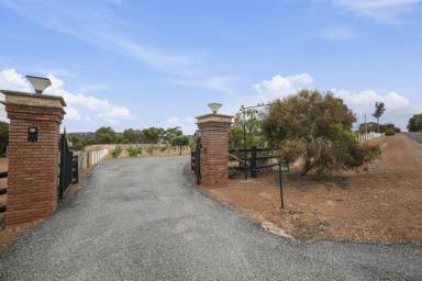 Acreage/Semi-rural For Sale - WA - Meelon - 6208 - Perfect Lifestyle Property with Coastline Views on 4.25 Hectares  (Image 2)