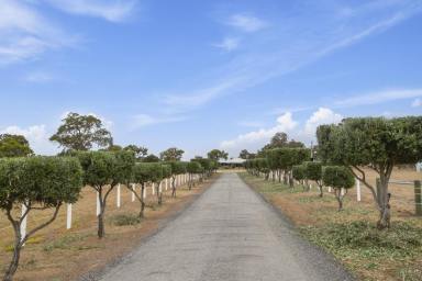 Acreage/Semi-rural For Sale - WA - Meelon - 6208 - Perfect Lifestyle Property with Coastline Views on 4.25 Hectares (Image 2)
