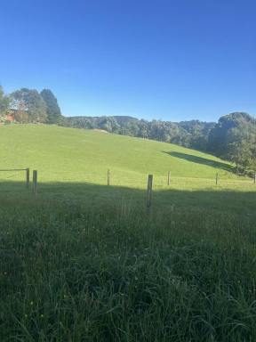 Livestock For Sale - VIC - Beech Forest - 3237 - Relaxed rural living environment  (Image 2)