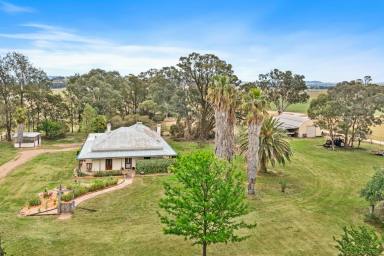 Lifestyle For Sale - NSW - Gulgong - 2852 - COUNTRY CHARACTER WITH TOWN CONVENIENCE (Image 2)