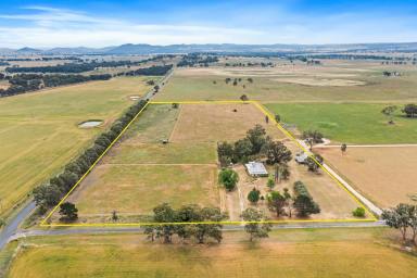 Lifestyle For Sale - NSW - Gulgong - 2852 - COUNTRY CHARACTER WITH TOWN CONVENIENCE (Image 2)