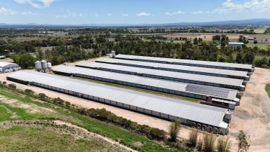 Livestock For Sale - QLD - Forest Hill - 4342 - A High-Capacity, Turn-Key Poultry Operation  (Image 2)