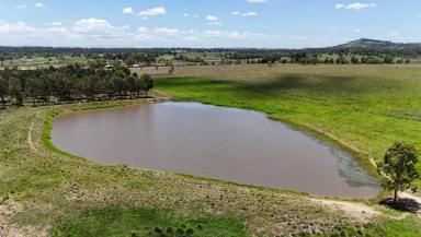 Livestock For Sale - QLD - Forest Hill - 4342 - A High-Capacity, Turn-Key Poultry Operation  (Image 2)