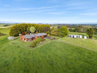 Lifestyle For Sale - TAS - Penguin - 7316 - Warm Country Living with Stunning Views (Image 2)