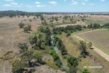 Mixed Farming For Sale - NSW - Inverell - 2360 - 'THE WILLOWS'  (Image 2)