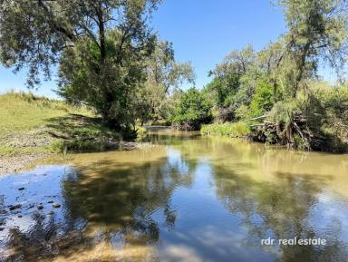 Mixed Farming For Sale - NSW - Inverell - 2360 - 'THE WILLOWS'  (Image 2)