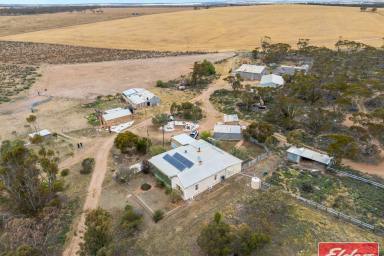 House For Sale - SA - Sutherlands - 5374 - Country Farmhouse on 468 Acres - Looking to be Self Sufficient? (Image 2)