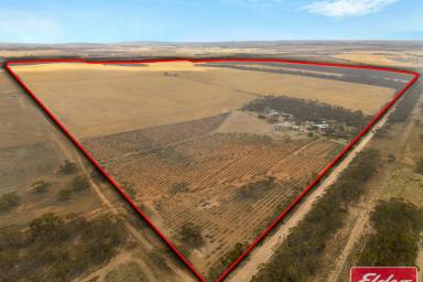 House For Sale - SA - Sutherlands - 5374 - Country Farmhouse on 468 Acres - Looking to be Self Sufficient? (Image 2)