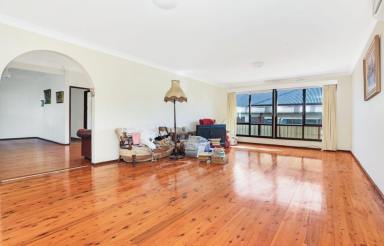 House For Lease - NSW - Fairy Meadow - 2519 - Charming 3-Bedroom Cottage with Studio | Spacious Living in Prime Fairy Meadow Location  (Image 2)