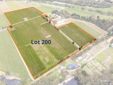 Other (Rural) For Sale - SA - Blewitt Springs - 5171 - Two Rural Lifestyle Parcels — 18.6 Ha & 16 Ha  (Image 2)