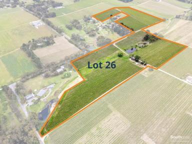 Other (Rural) For Sale - SA - Blewitt Springs - 5171 - Two Rural Lifestyle Parcels — 18.6 Ha & 16 Ha  (Image 2)