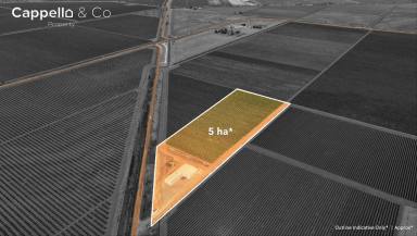 Horticulture For Sale - NSW - Griffith - 2680 - 1500sqm* Shed on 5ha +/_ Allotment  (Image 2)