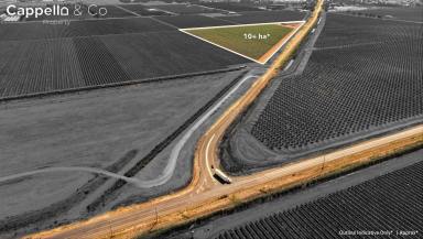 Horticulture For Sale - NSW - Griffith - 2680 - 1500sqm* Shed on 3ha+ Allotment  (Image 2)