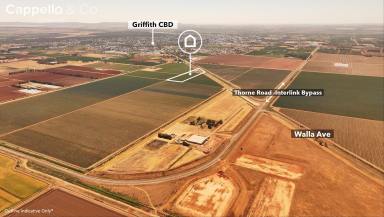 Horticulture For Sale - NSW - Griffith - 2680 - 1500sqm* Shed on 5ha +/_ Allotment  (Image 2)