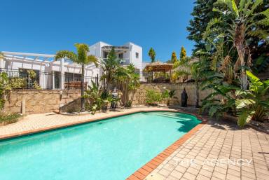 House For Sale - WA - Kallaroo - 6025 - The Ultimate Domain! (Image 2)