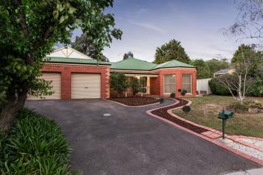 House For Sale - VIC - Strathdale - 3550 - Contemporary Elegance with Poolside Living  (Image 2)