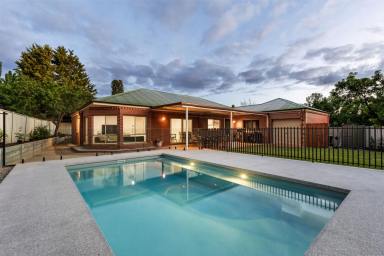 House Sold - VIC - Strathdale - 3550 - Contemporary Elegance with Poolside Living  (Image 2)