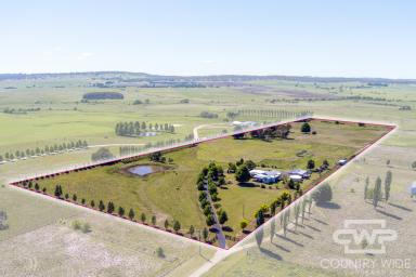 Mixed Farming For Sale - NSW - Glen Innes - 2370 - Top-Tier Small Farm with Modern 4-Bedroom Homestead  (Image 2)