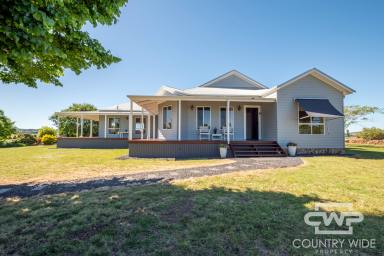 Mixed Farming For Sale - NSW - Glen Innes - 2370 - Top-Tier Small Farm with Modern 4-Bedroom Homestead (Image 2)