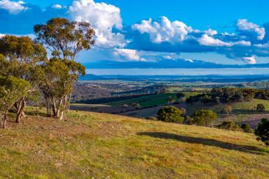 Other (Rural) For Sale - NSW - Goulburn - 2580 - "The Piano Shed" - Southern Tablelands holding with scale, close to Goulburn City.  (Image 2)