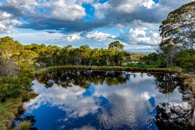 Other (Rural) For Sale - NSW - Goulburn - 2580 - "The Piano Shed" - Southern Tablelands holding with scale, close to Goulburn City.  (Image 2)