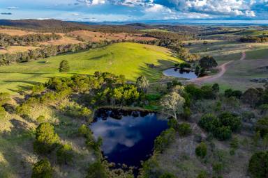 Other (Rural) For Sale - NSW - Kingsdale - 2580 - "The Piano Shed" - Southern Tablelands holding with scale, close to Goulburn City.  (Image 2)