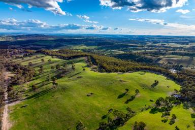Other (Rural) For Sale - NSW - Goulburn - 2580 - "The Piano Shed" - Southern Tablelands holding with scale, close to Goulburn City.  (Image 2)