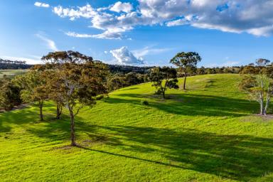 Other (Rural) For Sale - NSW - Kingsdale - 2580 - "The Piano Shed" - Southern Tablelands holding with scale, close to Goulburn City.  (Image 2)