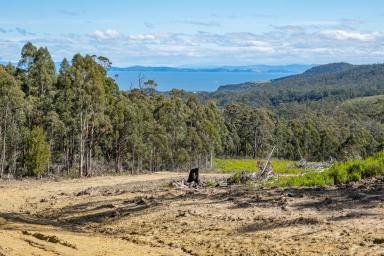 Residential Block For Sale - TAS - Saltwater River - 7186 - Tired of feeling fenced in? How about this opportunity? Land glorious Land  (Image 2)