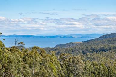Residential Block For Sale - TAS - Saltwater River - 7186 - Tired of feeling fenced in? How about this opportunity? Land glorious Land  (Image 2)