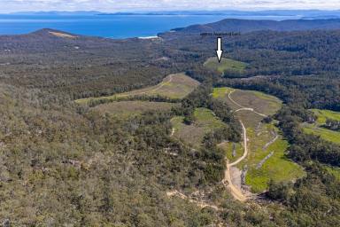 Residential Block For Sale - TAS - Saltwater River - 7186 - Tired of feeling fenced in? How about this opportunity? Land glorious Land (Image 2)