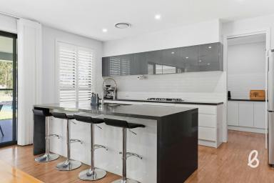 House For Sale - NSW - Singleton - 2330 - Stunning 5 Bedroom Home on 2 Acres  (Image 2)