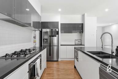 House For Sale - NSW - Singleton - 2330 - Stunning 5 Bedroom Home on 2 Acres (Image 2)