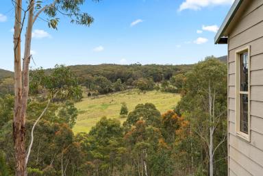 Lifestyle Auction - NSW - Greenwich Park - 2580 - Your rural escape!  (Image 2)