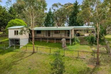 Lifestyle Auction - NSW - Greenwich Park - 2580 - Your rural escape!  (Image 2)
