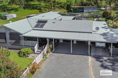 House For Sale - NSW - Krambach - 2429 - Tranquil Country Living with Modern Comforts (Image 2)