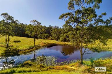 House For Sale - NSW - Topi Topi - 2423 - LETS ESCAPE TO THE COUNTRY  (Image 2)