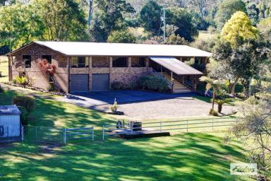Acreage/Semi-rural For Sale - NSW - Marlee - 2429 - OUR SHANGRI-LA  (Image 2)