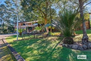Acreage/Semi-rural For Sale - NSW - Marlee - 2429 - OUR SHANGRI-LA  (Image 2)